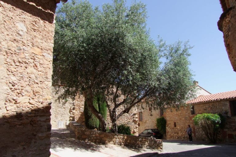 Sainte Colombe