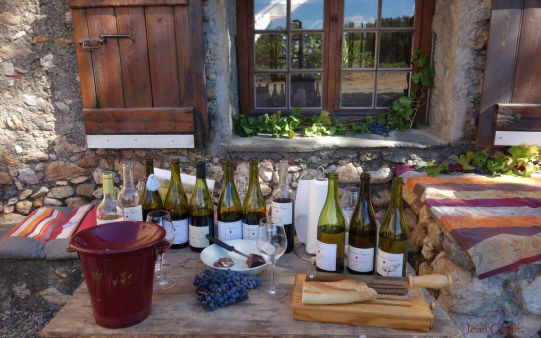 DOMAINE VAQUER