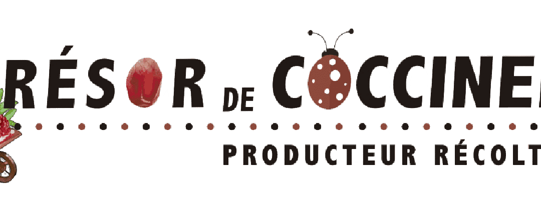 TRESOR DE COCCINELLE