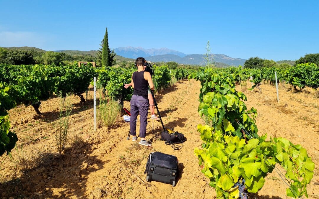 LES COTEAUX DE TERRATS