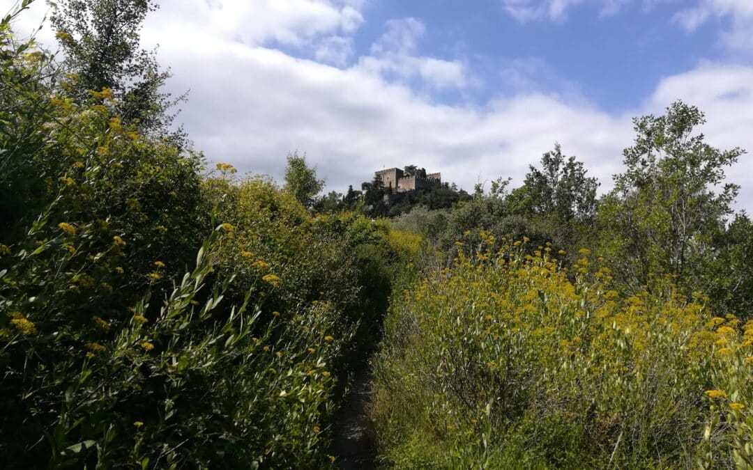 ROC DE MAJORQUE DEPUIS STE COLOMBE DE LA COMMANDERIE