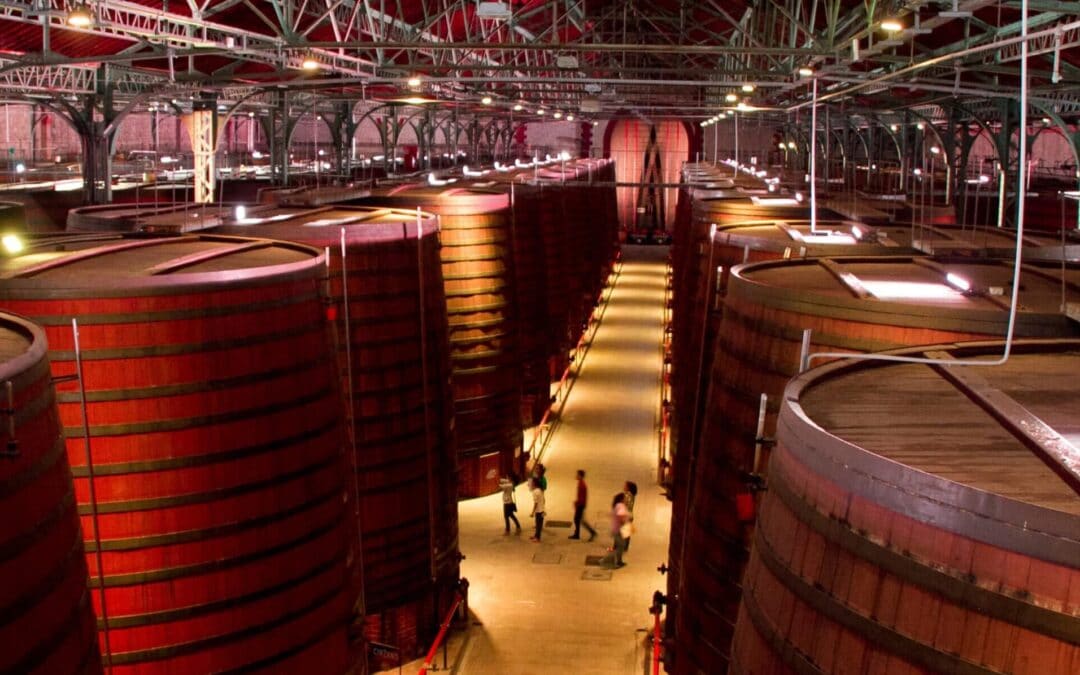 Les COVES BYRRH estan reobrint!