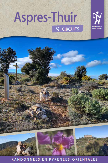 Capture d’écran 2026-04-10 152345