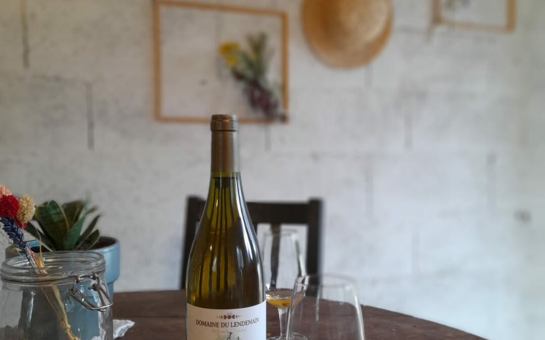 DOMAINE DU LENDEMAIN – FAMILLE RIBIERE