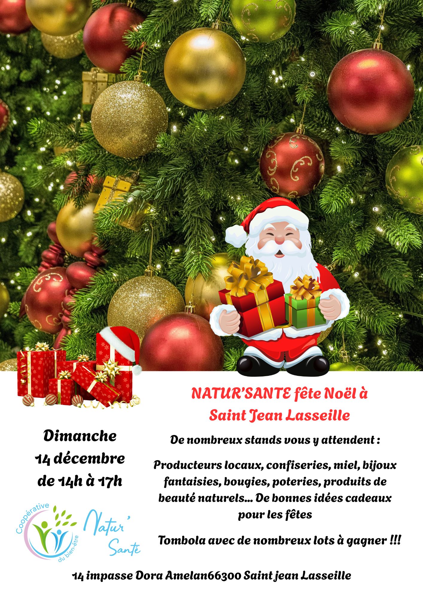 NATURE SANTÉ FÊTE NOËL