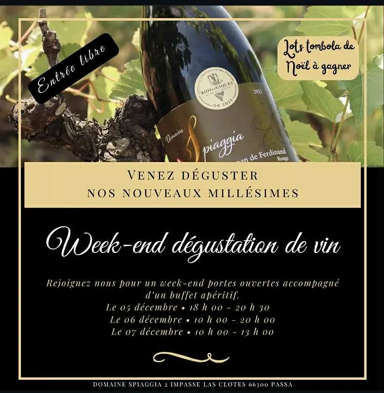 WEEK-END DÉGUSTATION DE VINS
