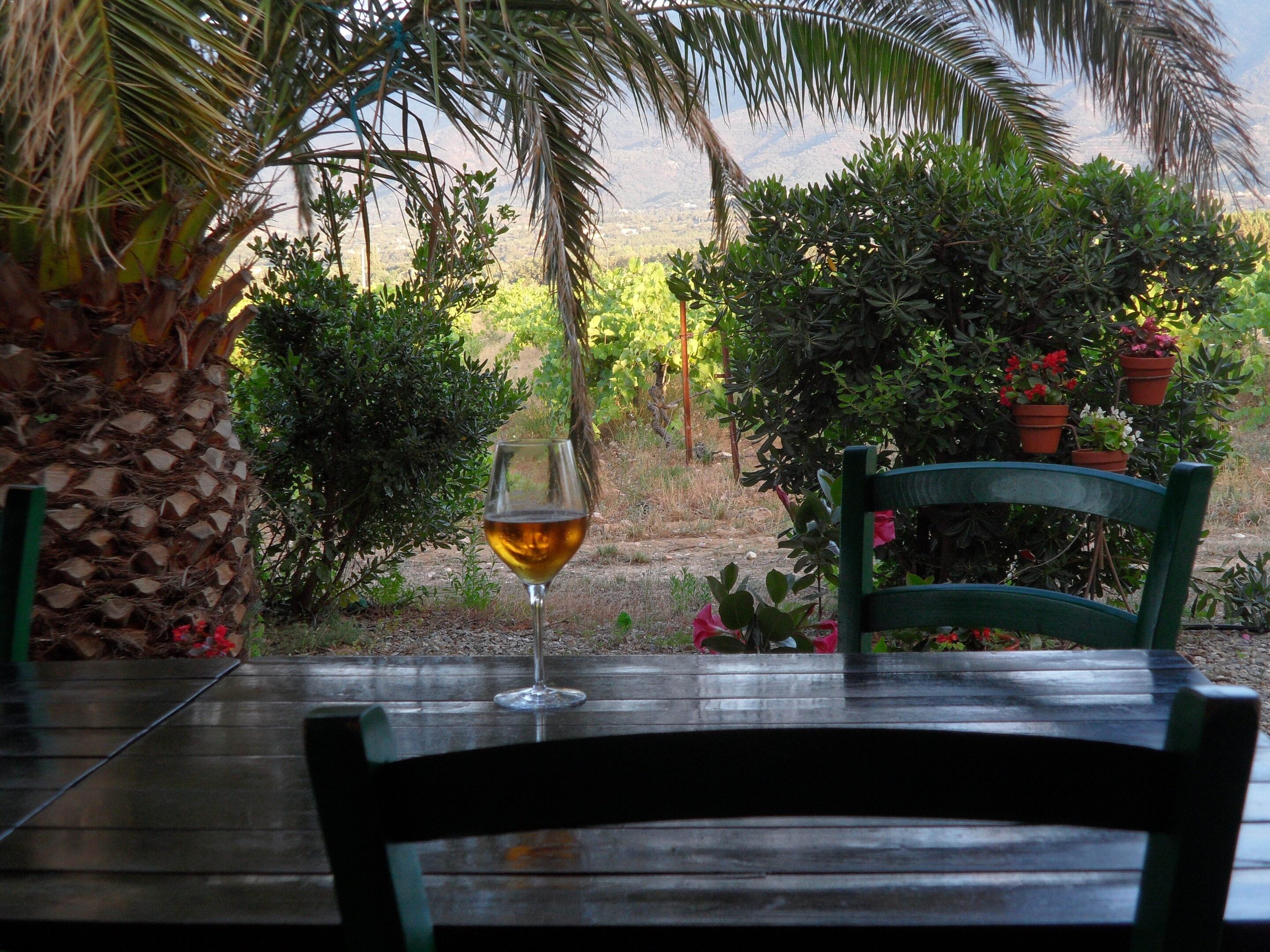 Nidoleres-Photo-Nora.2-jpg-3